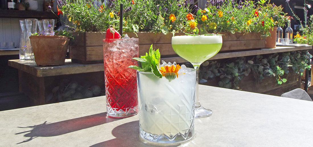 Gin cocktail recipes for summer